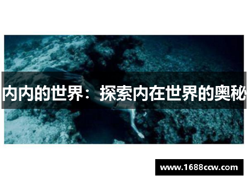 内内的世界：探索内在世界的奥秘